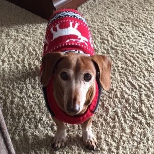 Meet your Posher, Marilyn